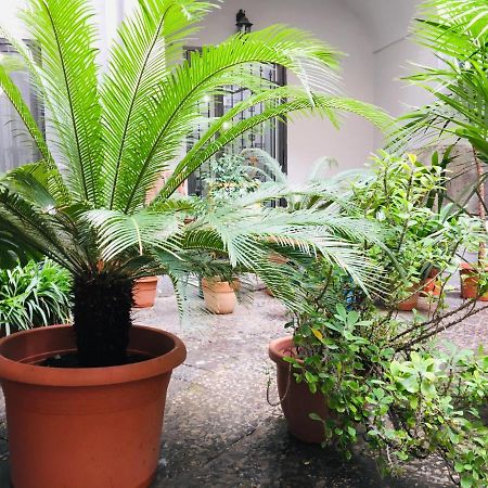 B&B Fiumara Napoli Esterno foto